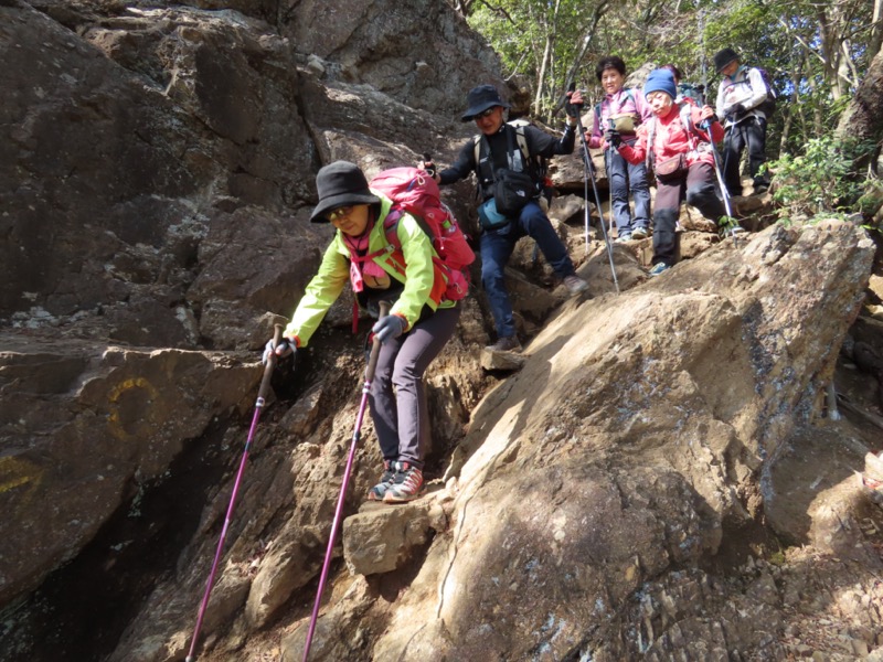 日和田山、物見山